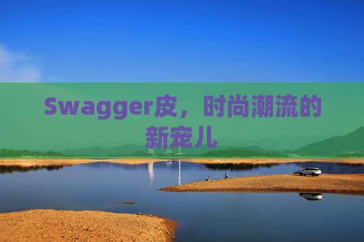Swagger皮，时尚潮流的新宠儿